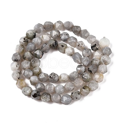 Natural Grey Labradorite Beads Strands G-T138-225-1