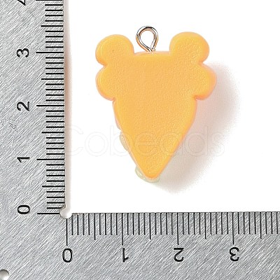 Resin Imitation Food Pendants FIND-U001-02E-1