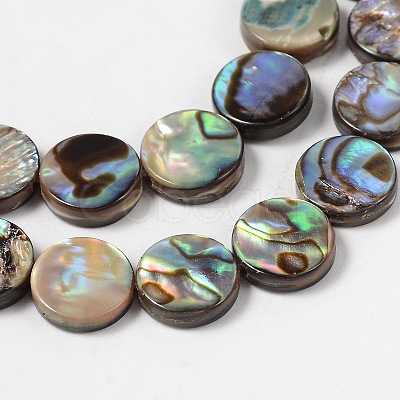 Natural Abalone Shell/Paua Shell Beads Strands SHS014-01-1