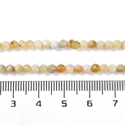 Natural Yellow Opal Beads Strands G-G139-A04-02-1