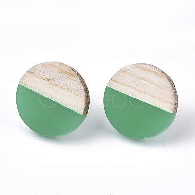 Transparent Resin & Wood Stud Earrings EJEW-N017-003A-D02-1