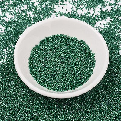 MIYUKI Delica Beads SEED-X0054-DB1788-1