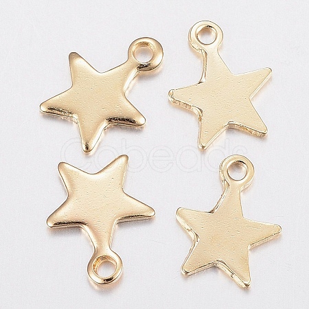 304 Stainless Steel Charms STAS-G179-80G-1