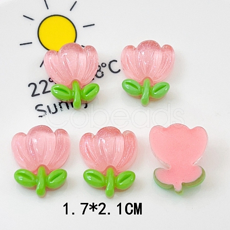 Translucent Resin Decoden Cabochons PW-WG80860-04-1