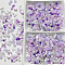 20G Glass Seed Beads, Mixed Shapes, DIY Necklace Bracelet Accessories, Plum, 2.5~7.5x2~4.5x2~4.5mm, Hole: 0.8~1.4mm