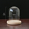 Glass Dome Cover, Decorative Display Case, Cloche Bell Jar Terrarium with Wood Base, Clear, 90x120mm