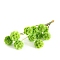 Artificial Flower, Dried Flower for Wedding Christmas Decoration, DIY Craft Home Decor, Green Yellow, 200~300mm, Flower: 25mm in diameter