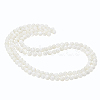 BENECREAT 2 Strands Natural Trochid Shell/Trochus Shell Beads Strands BSHE-BC0001-07-1