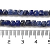 Natural Sodalite Beads Strands G-H042-A08-02-5