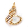 Brass Micro Pave Clear Cubic Zirconia Charms ZIRC-C030-05G-2
