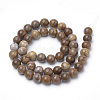 Natural Petrified Wood Beads Strands X-G-Q462-136-8mm-2