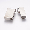 304 Stainless Steel Magnetic Clasps with Glue-in Ends STAS-K145-19P-3