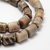 Column Natural Fossil Coral Beads Strands G-K070-02-3