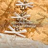 Preciosa&reg MAXIMA Crystal Round Stones X-PRC-RBSS29-90350-3