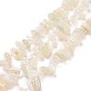 Natural White Moonstone Beads Strands G-D480-A16-03-1