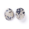 Natural Dalmatian Jasper Cabochons X-G-L511-E-02-2