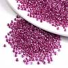 8/0 Glass Seed Beads X-SEED-A015-3mm-2212-1