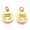 304 Stainless Steel Charms STAS-Q201-T446G-03-2