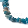 Natural Apatite Anklets AJEW-AN00592-01-3