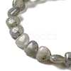Natural Labradorite Beads Strands G-B022-16B-3