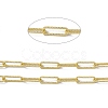 Brass Paperclip Chains CHC-P010-08G-2