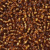 8/0 Glass Seed Beads SEED-A005-3mm-22C-2