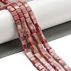 Natural Rhodonite Beads Strands G-C129-A14-01-2