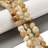 Natural Topaz Jade Beads Strands G-B078-D28-01-2