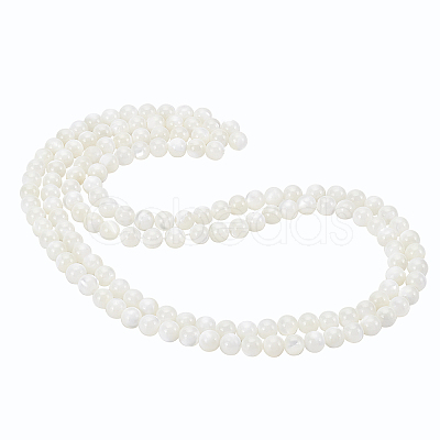 BENECREAT 2 Strands Natural Trochid Shell/Trochus Shell Beads Strands BSHE-BC0001-07-1