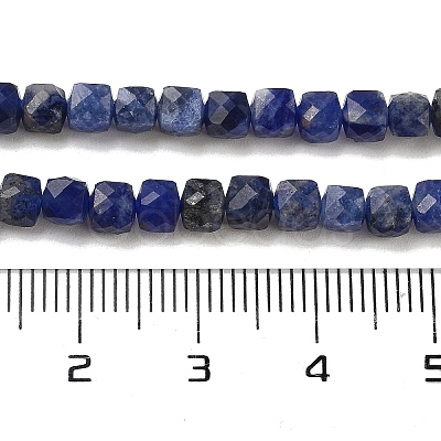 Natural Sodalite Beads Strands G-H042-A08-02-1