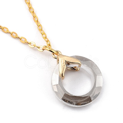 Glass Pendant Necklaces NJEW-JN03039-01-1