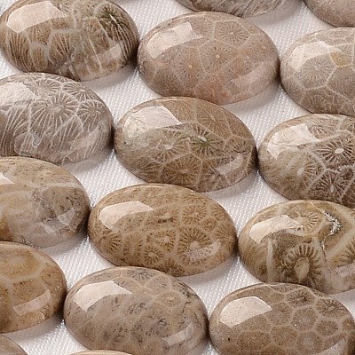 Oval Natural Fossil Coral Cabochons X-G-J329-20-13x18mm-1