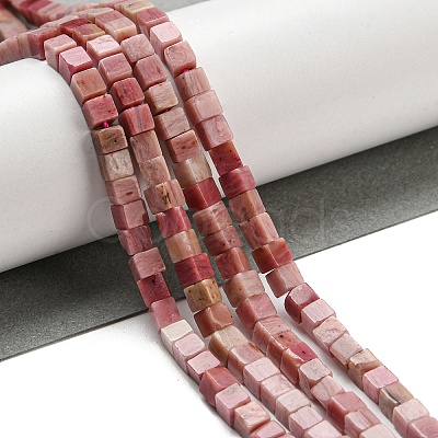 Natural Rhodonite Beads Strands G-C129-A14-01-1