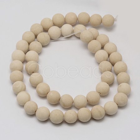 Natural Fossil Beads Strands X-G-D694-6mm-1
