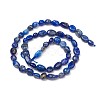 Natural Lapis Lazuli Beads Strands X-G-L493-40-3
