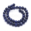 Natural Sodalite Beads Strands G-K224-01-10mm-2