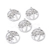 Alloy Crystal Rhinestone Pendants ALRI-H004-07P-3