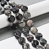 Natural Black Silk Stone/Netstone Beads Strands G-NH0004-037-2