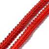 Polyester Braided Lace Trim OCOR-WH0079-51A-1