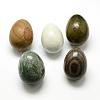 Mixed Stone Egg Stone G-Q471-12-1
