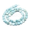 Natural Larimar Beads Strands G-F675-10-2