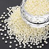 13/0 Glass Seed Beads SEED-T005-14A-A07-1