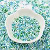 Baking Paint Glass Seed Beads X-SEED-S042-05B-52-2