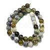 Natural Green Opal Beads Strands G-R494-A11-04-2