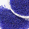 6/0 Transparent Glass Round Seed Beads X-SEED-J010-F6-28-1