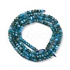 Natural Apatite Beads Strands G-F770-D09-02B-3