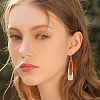 4 Pair 4 Color Resin & Wood Dangle Earrings EJEW-AB00042-6