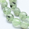 Natural Prehnite Beads Strands G-E483-71-3