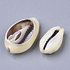 Natural Cowrie Shell Beads X-SSHEL-N034-28-3