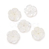 Natural Trochid Shell/Trochus Shell Beads SHEL-P014-02B-2